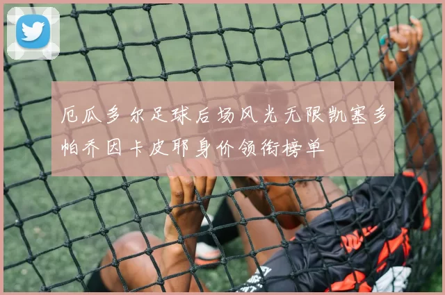 厄瓜多尔足球后场风光无限凯塞多帕乔因卡皮耶身价领衔榜单
